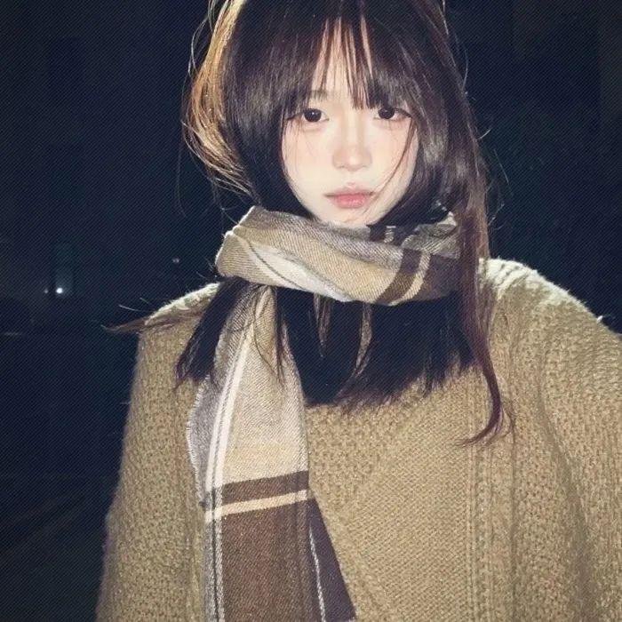 鸿雁