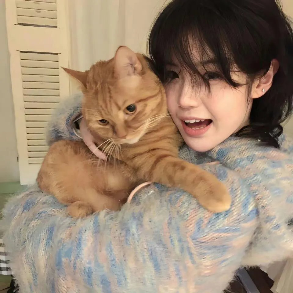 猛鬼街100号